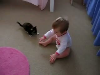 Watch Attack! Video