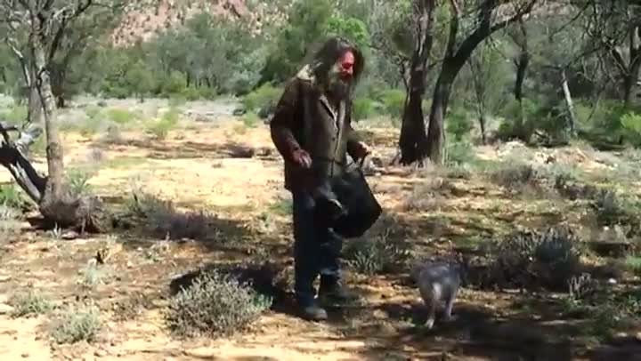 Watch How to Catch a Kangeroo Video