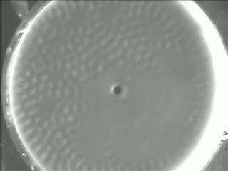 Watch Amazing liquid Video