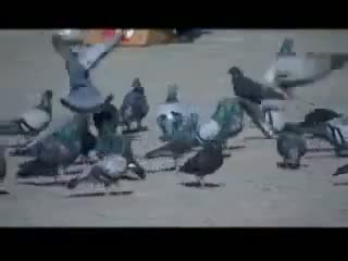 Watch Help someone , and what you get? but help me to share in your wall Video