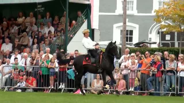 Watch Hunt and Stunts - jumping, Amazing Horse Freestyle Video