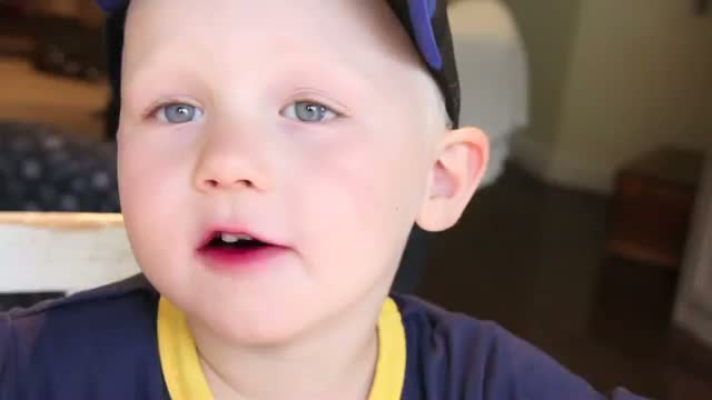 Watch What did you learn at school today? Video