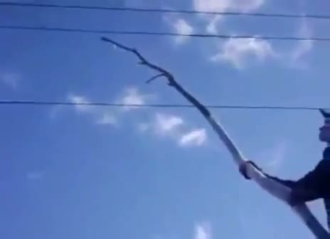 Watch Dumb kid touches stick to power lines Video