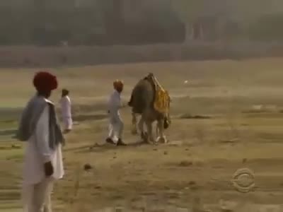 Watch Now This is Newton law of action & Reaction,. Must watch  Video
