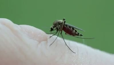 Watch This is Danger for Health Video