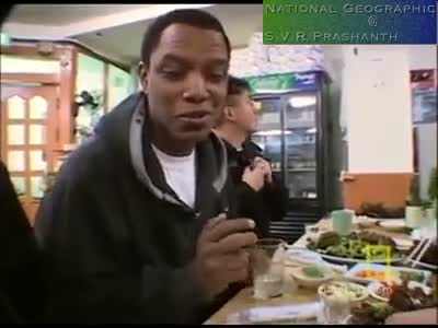 Watch How They Eat this Octopus Video