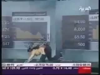 Watch News of the Day, Lollzzz Video