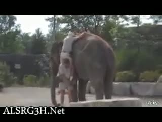 Watch Don't help too Much ! hahahah Video