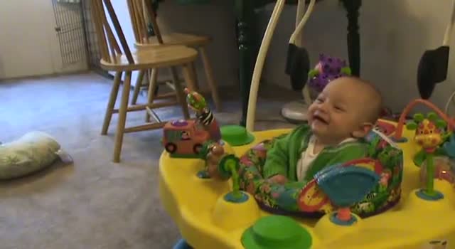 Watch Baby Laughing at Husky - Funny video Video