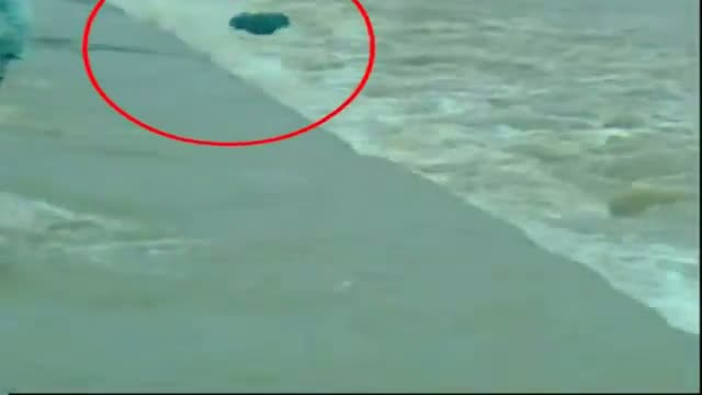 Watch Live death Daredevil act drowns two to death Video