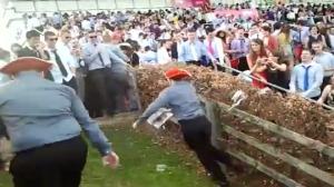 Watch Drunk guy tries to climb up Video
