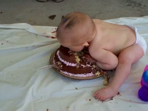 Watch First Birthday Cake - Funny Baby Video