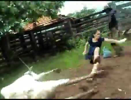 Watch Never mess with a ninja cow Video