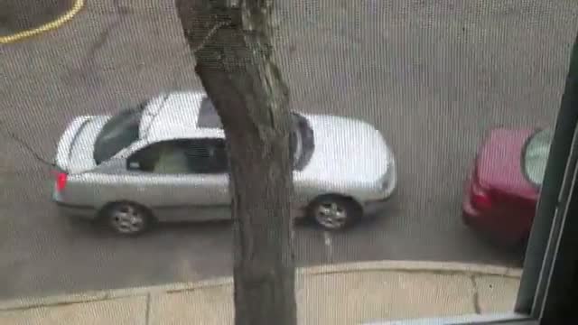 Watch Some Really Amazing Parking Video