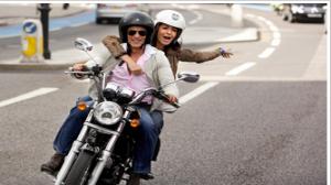 Watch Yash Chopra's untitled film teaser: Shahrukh Khan, Katrina Kaif & Anushka Sharma fall in love - Releasing November 13 - Teaser Video