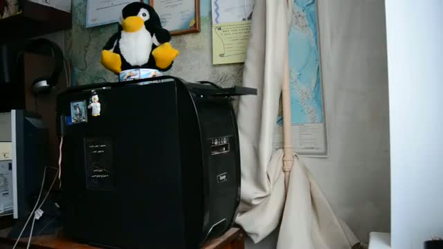 Watch Cat Vs Disk Drive  Video