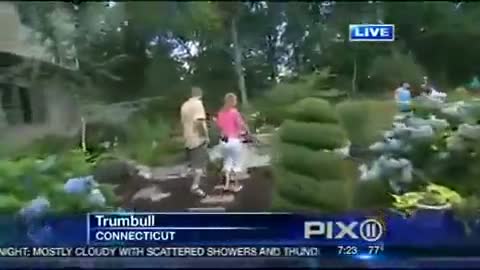 Watch Backflip On the News Video