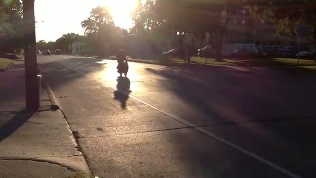 Watch Scooter with a Train Horn Video