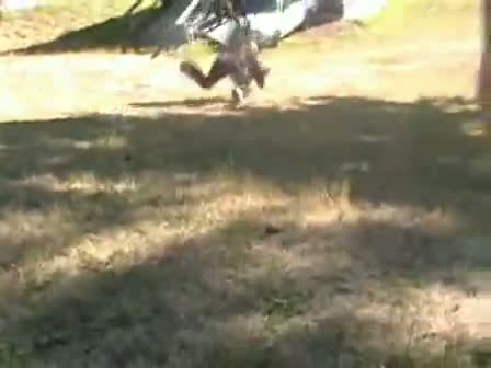 Watch Wheel Barrel Jump  Video