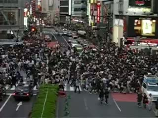 Watch Hillarious Road Crossing in Tokyo Video