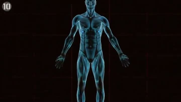 Watch 10 Useless Human Body Parts Video