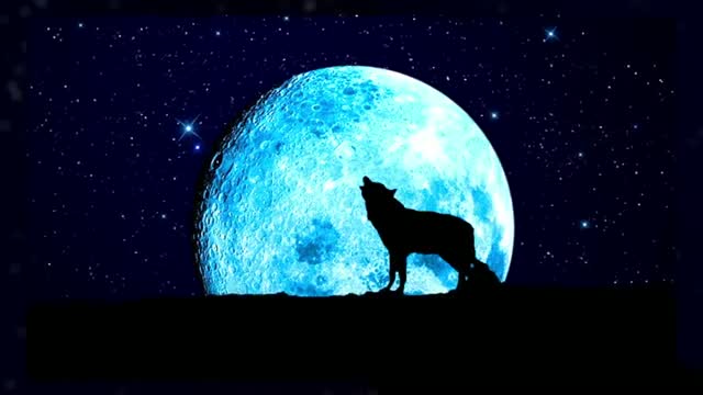 Watch Blue Moon and Neil Armstrong Memorial Converge Friday Video