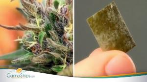 Watch For All You Weed Smokers (Canastrips) Video
