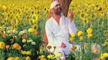 Watch Public Reaction to Shirdi Sai Movie - Telugu Cinema Movies Video