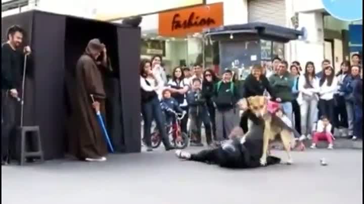 Watch Luke Dogwalker Battles Barkvader Video