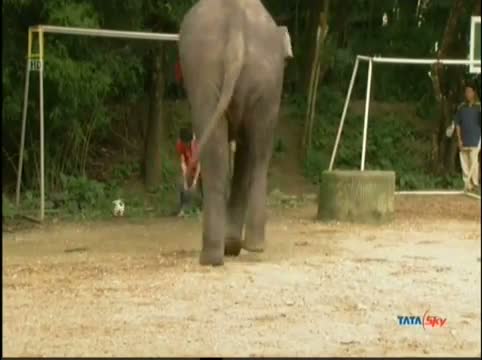 Watch This is amazing...! Video