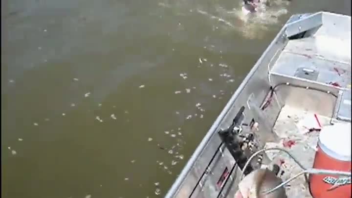 Watch Fish Launches Successful Pre-emptive Strike Video