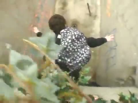 Watch Luckeist skateboarder alive Video