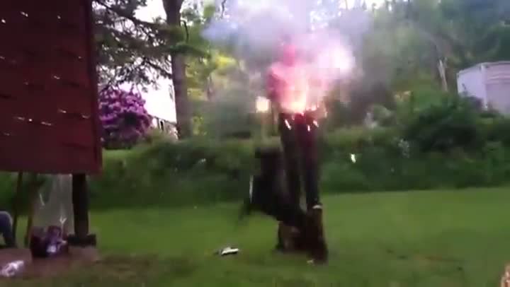Watch Dog Dancing Around Guy With Firework Crotch Video