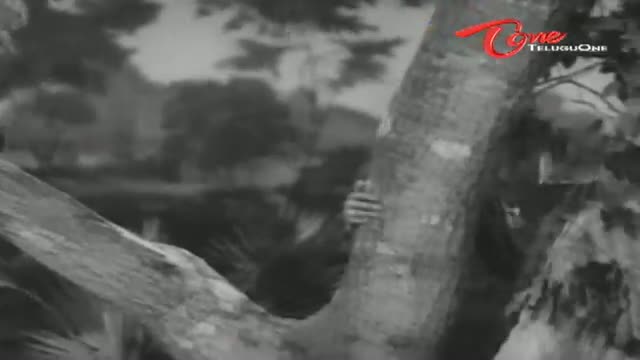 Watch Shavukaru Songs - Bhale Doralaku - NTR - Shavukaru Janaki - Telugu Cinema Movies Video