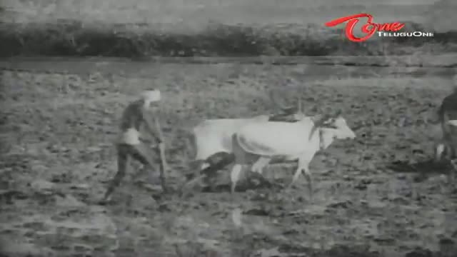 Watch Shavukaru Songs - Maaripovuraa Kaalam - NTR - Shavukaru Janaki - Telugu Cinema Movies Video