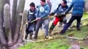 Watch Suzuki Recovery Fail Video