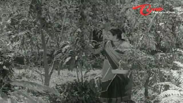 Watch Krishna Prema Songs - Navvula Puvvula - Shanta Kumari - G V Rao - Telugu Cinema Movies Video