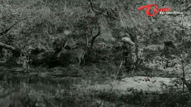 Watch Krishna Prema Songs - Pahimam - Shanta Kumari - G V Rao - Telugu Cinema Movies Video