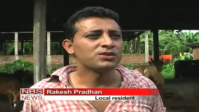 Watch UPA's LPG cap not matter of concern for Assam Village Video