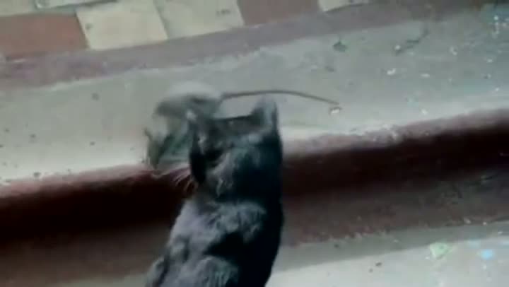Watch You Shall Not Pass! Video