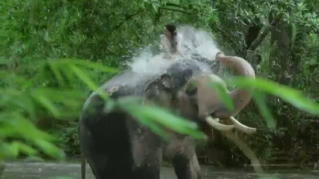 Watch Cinthol TVC - Alive is Awesome (Hindi) Video
