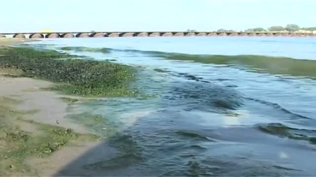 Watch Uma's Ganga samagra yatra turns political Video