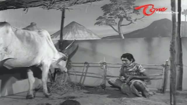Watch Telugu Comedy Scene From Kathiki Kankanam Movie - Rajababu Hilarious Dialogues With Cow - Telugu Cinema Movies Video