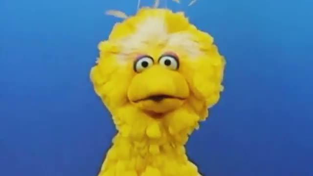 Watch Big Bird - Obama for America TV Ad 2012 Video