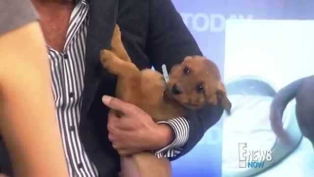 Watch Kathie Lee Gifford Drops a Puppy Video