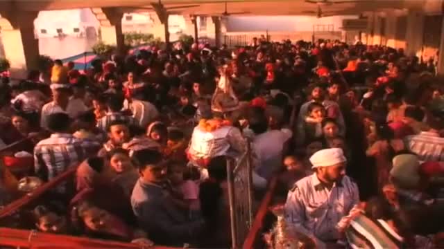 Watch Amritsar With Navaratra comes Langoor festival Video