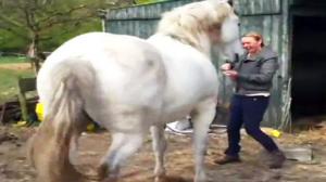 Watch If This Stallion Was Mine Video