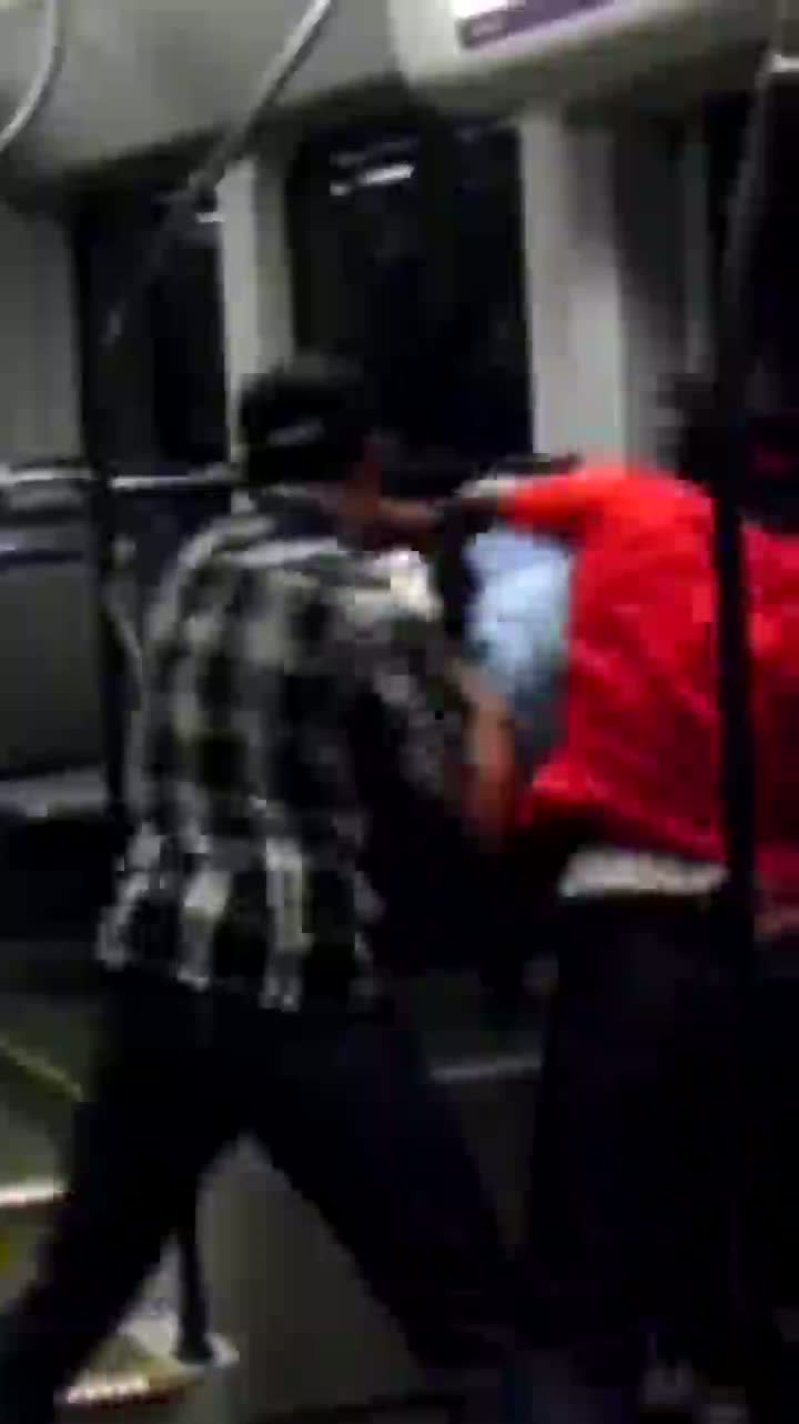 Watch Guy With Samauri Sword Stops Fight Video