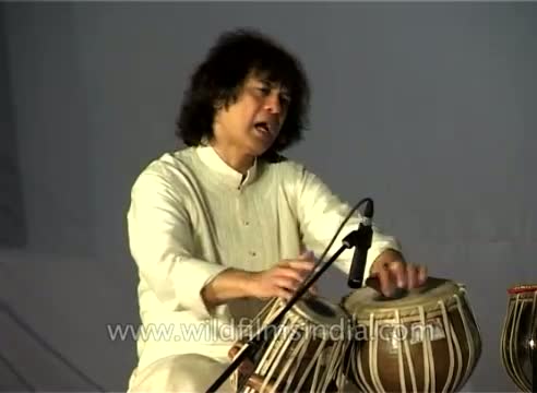 Watch Indian drum maestro Zakir Hussain performs at Surajkund Video