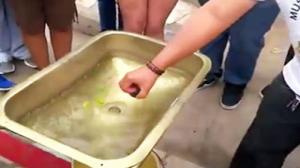 Watch How Water Drains at the Equator Video
